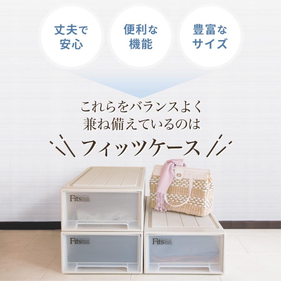 天馬 収納ケース 衣装ケース フィッツケース クローゼット S-30