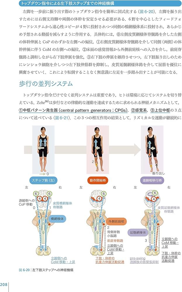 脳卒中の動作分析：臨床推論から治療アプローチまで | 金子唯史 |本