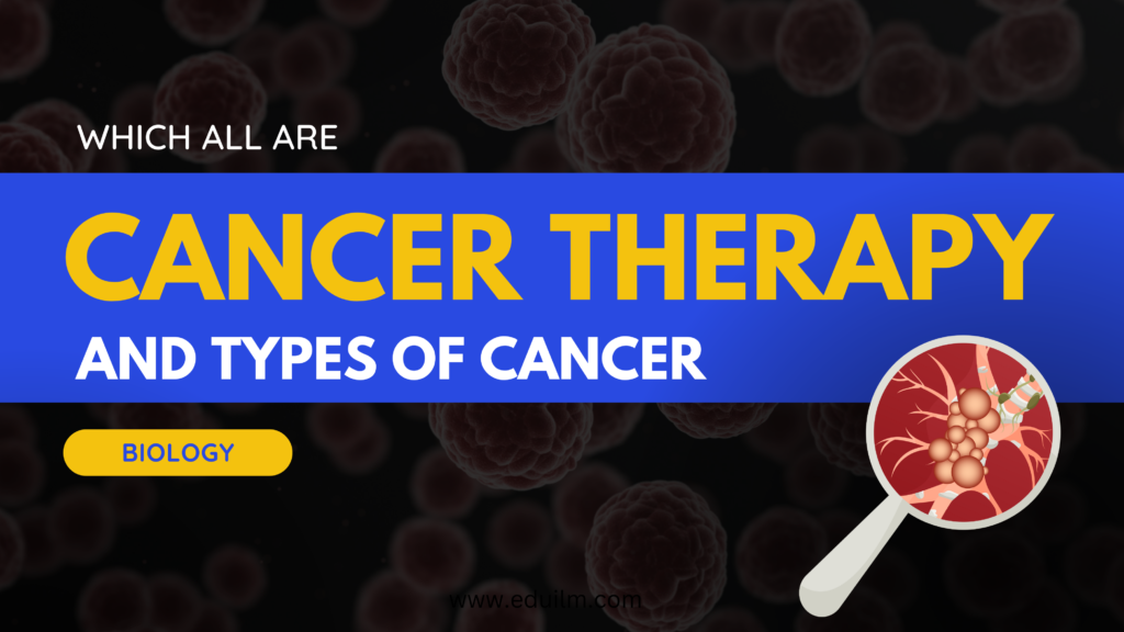 Cancer therapy and cancer treatment