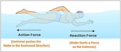 3rd.  Newton third law of motion